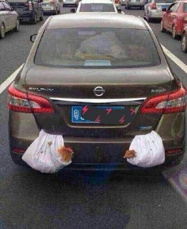 高速惊现“拖拉鸡”