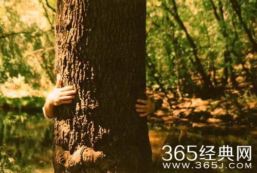 唯美的句子：别让时间，陌生了彼此