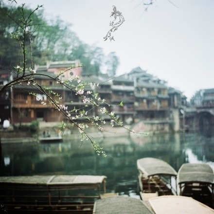 早安心语150323：只有拼出来的努力，没有等出来的辉煌