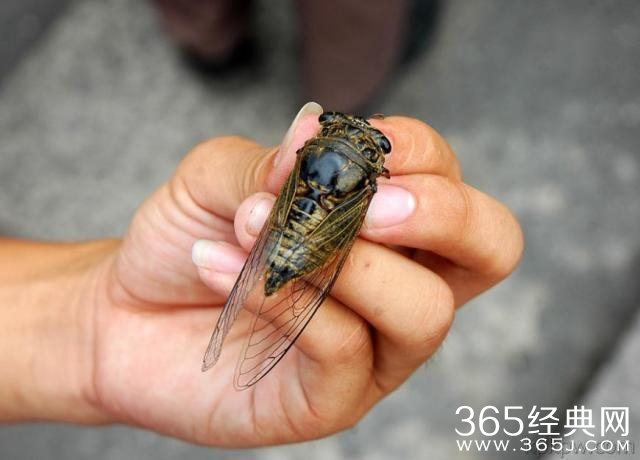 如果懂这些图片，说明你老了！满满的都是回忆啊！