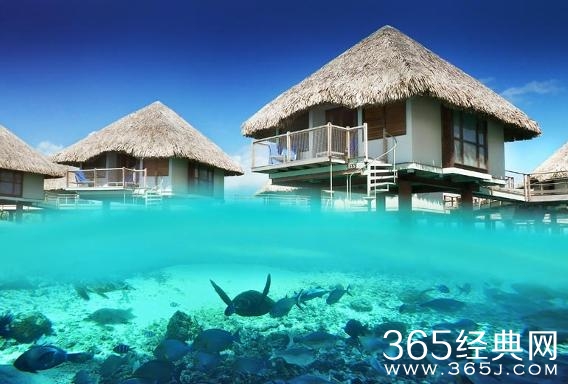 【盘点：全球11座最美的水上洋房}】