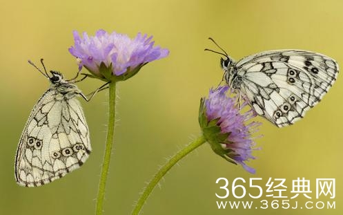 人穷志不短，看看在穷的时候最该做什么