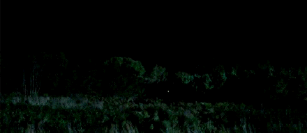 尸走肉第五季第16集大结局内容简介_恶战到来心狠手辣boss登场_365经典网