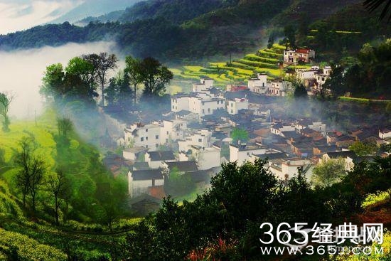 游玩江南小镇 花和景都可兼得