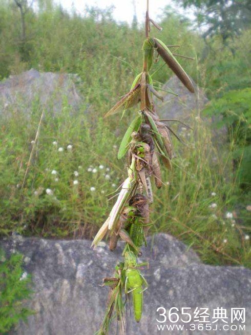 如果懂这些图片，说明你老了！满满的都是回忆啊！