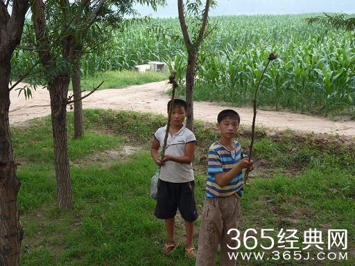 如果懂这些图片，说明你老了！满满的都是回忆啊！