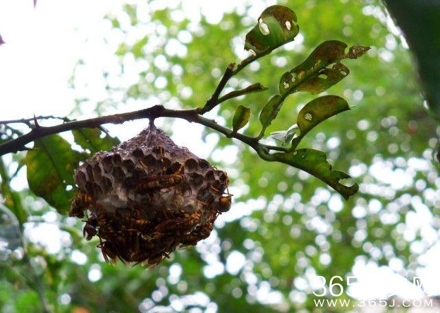 如果懂这些图片，说明你老了！满满的都是回忆啊！