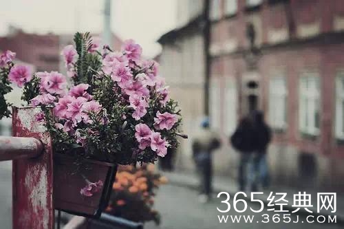 唯美的句子：别让时间，陌生了彼此