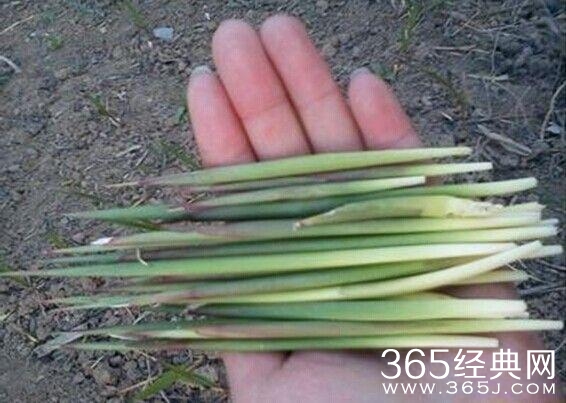 如果懂这些图片，说明你老了！满满的都是回忆啊！