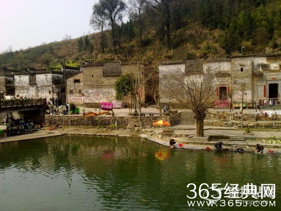 游玩江南小镇 花和景都可兼得