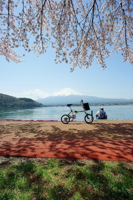早安心语150323：只有拼出来的努力，没有等出来的辉煌