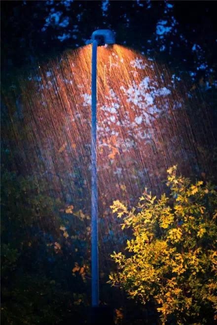 烦事天天有，贵在心放宽