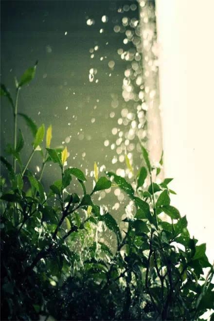 烦事天天有，贵在心放宽