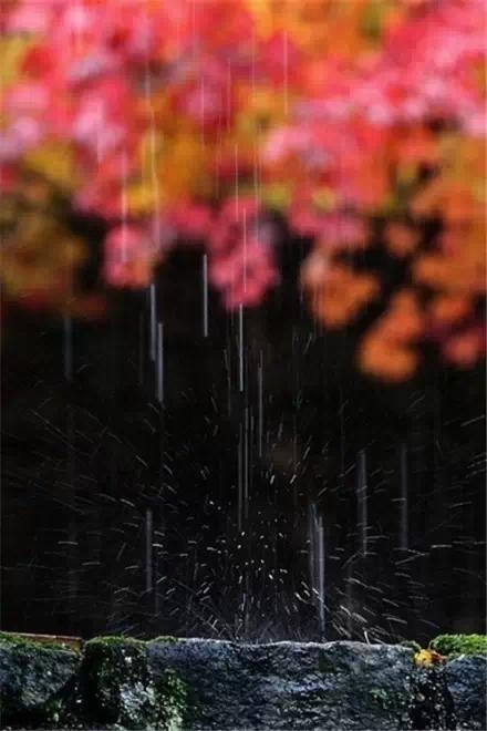 烦事天天有，贵在心放宽