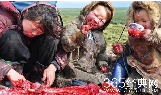  俄罗斯涅涅茨人一日三餐全吃生肉