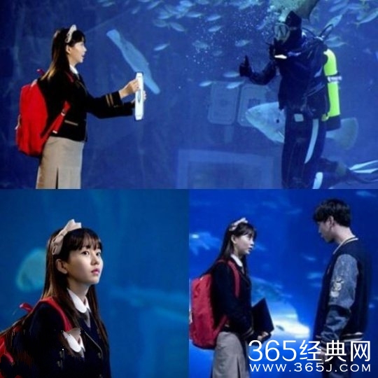 看见味道的少女朴有天金所炫亲兄妹的即视感_看见味道的少女什么时候开播_365经典网