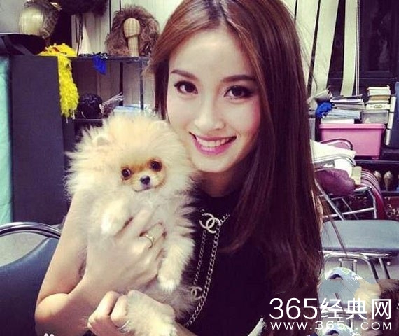 《澳门风云2》地下赌场女主持扮演者及资料