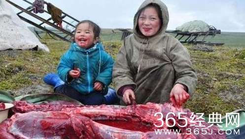 俄罗斯涅涅茨人一日三餐全吃生肉