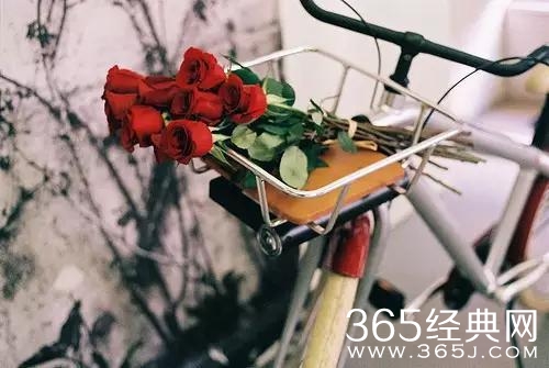 失去，才懂得珍惜； 痛过，方知爱有多深！