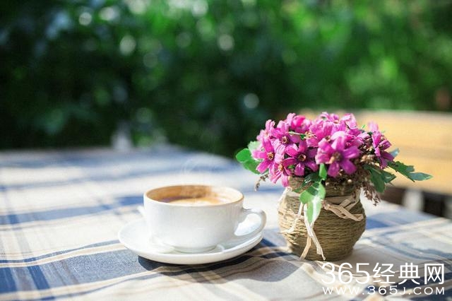 如果有一天我走了，你会不会心痛