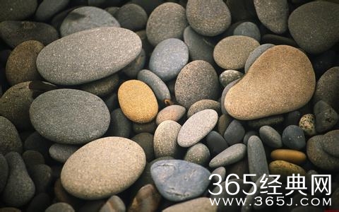 即使是一块石头 也能开花也能飞