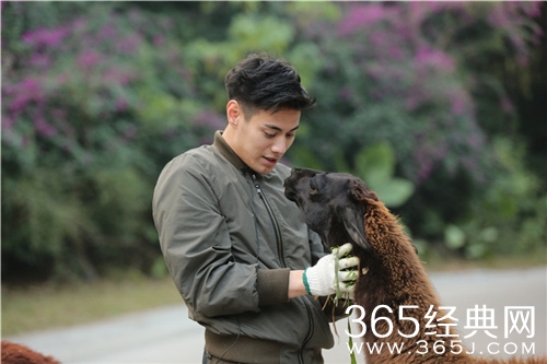 奇妙的朋友五宗罪是怎么回事分别是什么 奇妙的朋友为什么遭到众人反对