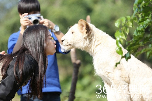 奇妙的朋友五宗罪是怎么回事分别是什么 奇妙的朋友为什么遭到众人反对