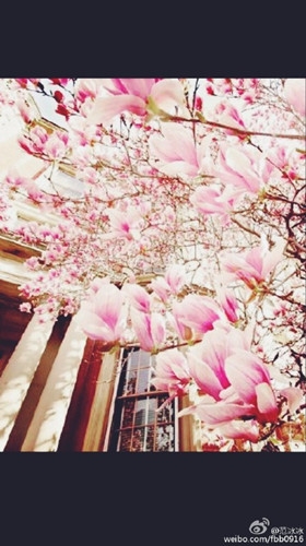 范冰冰疑表白神秘男友：能遇见不容易 网友：等你晒结婚证图片