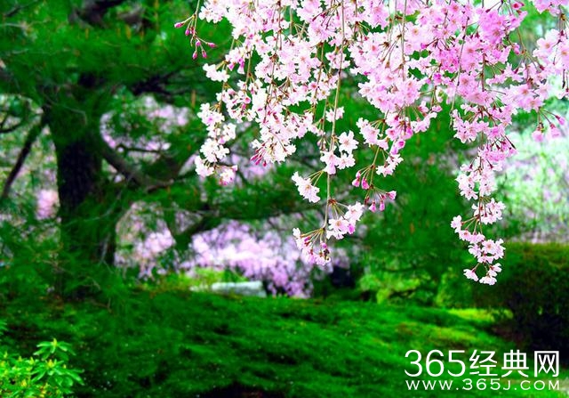 春天，遂想起江南