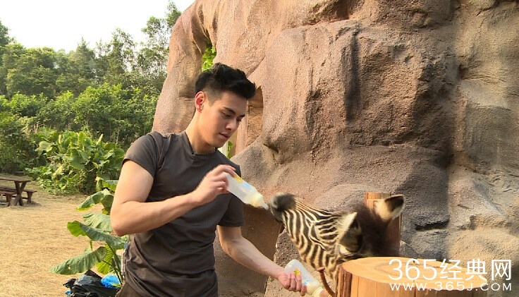 奇妙的朋友五宗罪是怎么回事分别是什么 奇妙的朋友为什么遭到众人反对