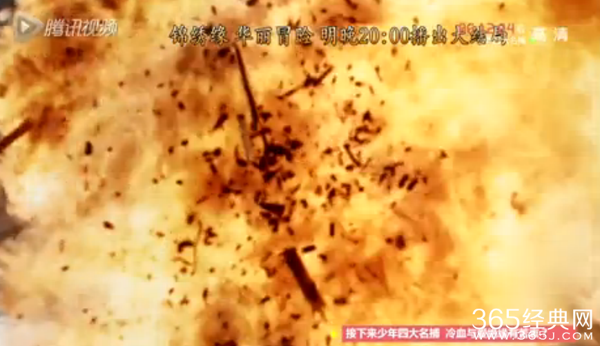 绣缘华丽冒险第39集剧情介绍_左震为救英东中前田圈套_365经典网