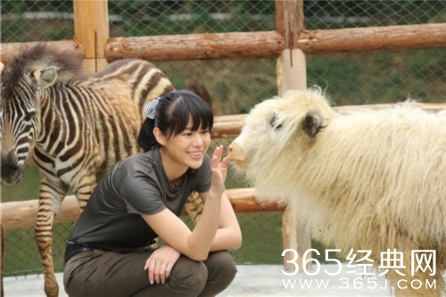 奇妙的朋友五宗罪是怎么回事分别是什么 奇妙的朋友为什么遭到众人反对