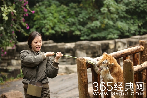 奇妙的朋友五宗罪是怎么回事分别是什么 奇妙的朋友为什么遭到众人反对