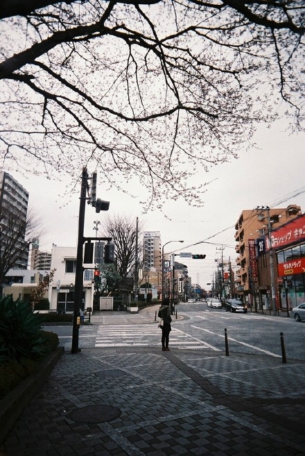 晚安心语150326：大部分的人，只是陪我们走一段路