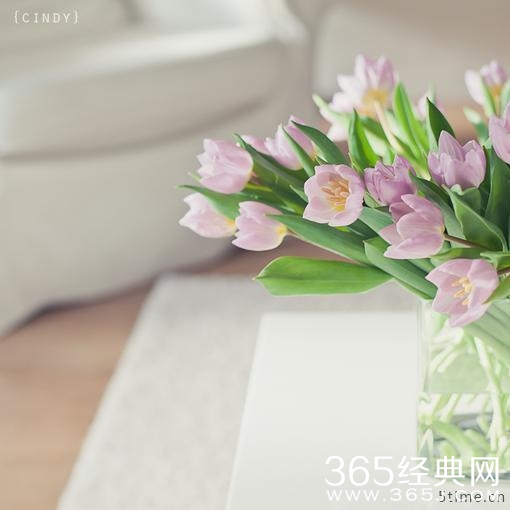 早安心语130327：对自己好一点，多开心一天就是恩典