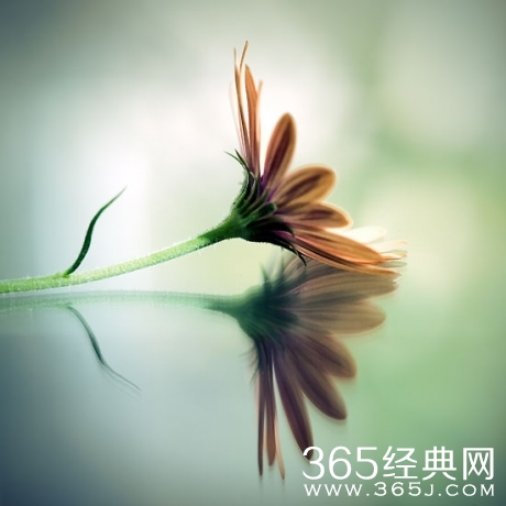 早安心语130327：对自己好一点，多开心一天就是恩典