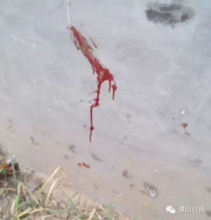 王悉霁虐杀现场照片曝光 王悉霁发现现场照片血腥慎入