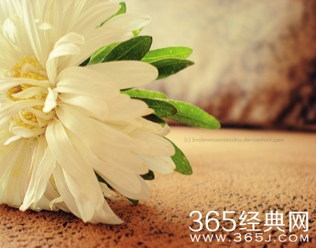 早安心语130327：对自己好一点，多开心一天就是恩典