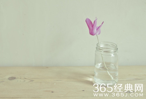 想成为大树，就不要和草去比图片