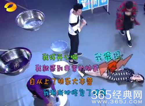 我担是什么意思？李晨、谢娜