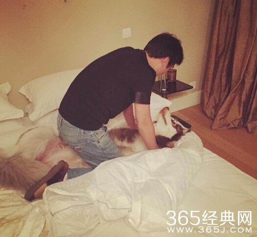 央视主播怒斥首富之子王思聪日狗大法_ 王思聪遭粗口回应_365经典网