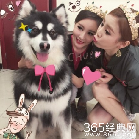 央视主播怒斥首富之子王思聪日狗大法_ 王思聪遭粗口回应_365经典网