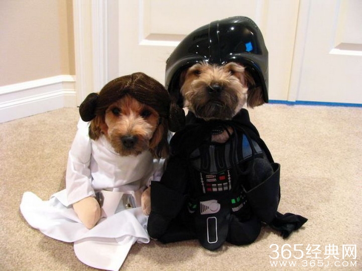 霸气侧漏搞笑说说大全