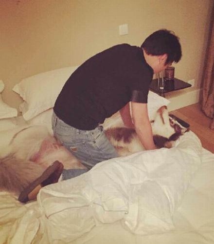 日狗大法是什么意思 图片