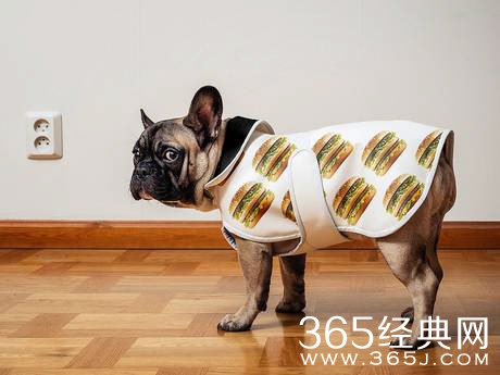 麦当劳要正式进军时装界？