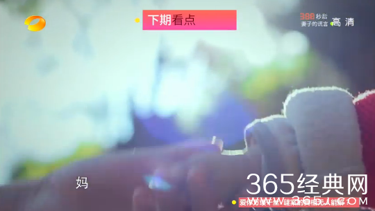 《变形计》20150331期芒果TV直播在线观看