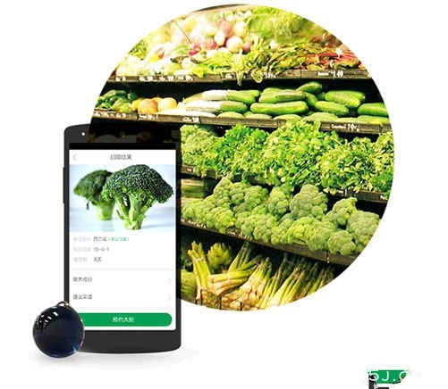 人鱼泪珠是什么?人鱼泪珠有什么用?