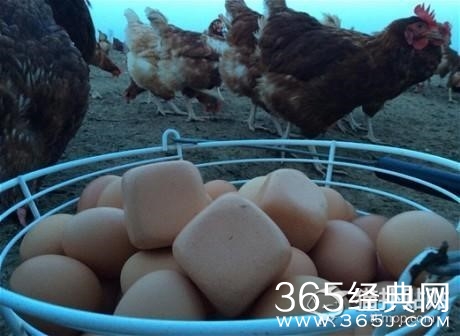 冠希哥惊现坚果摊 涉足相声界之后又做了小买卖