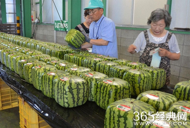 冠希哥惊现坚果摊 涉足相声界之后又做了小买卖