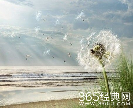 国王打猎宰相微服私访：一切都是最好的安排